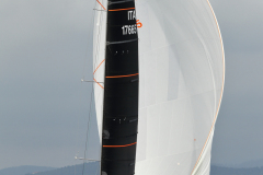 24BRC-06219